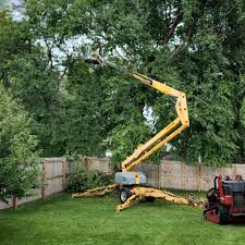 How Our Tree Care Process Works  in  Richland, GA